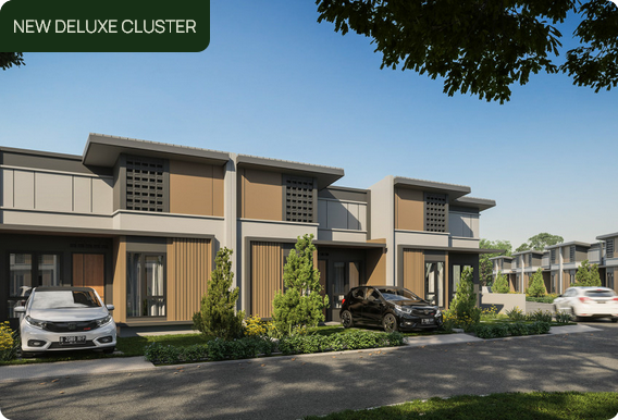Magnolia - New Deluxe Cluster Magnolia - New Deluxe Cluster